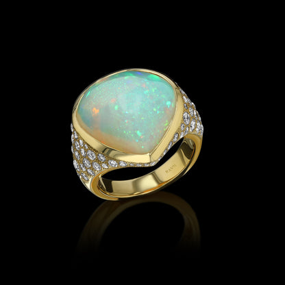 Oracle Opal