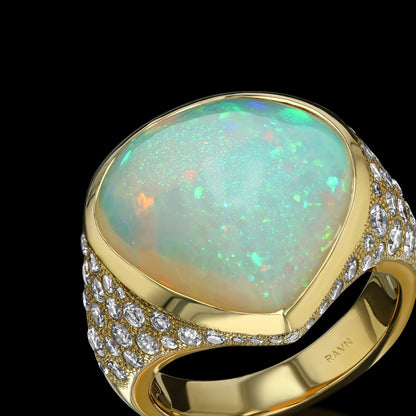 Oracle Opal