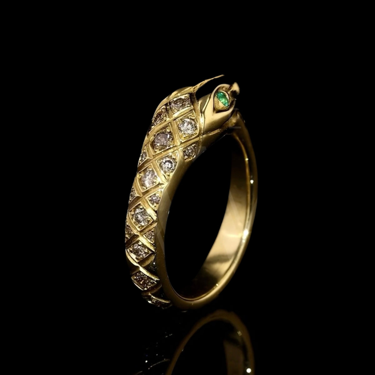 Ouroboros Ring