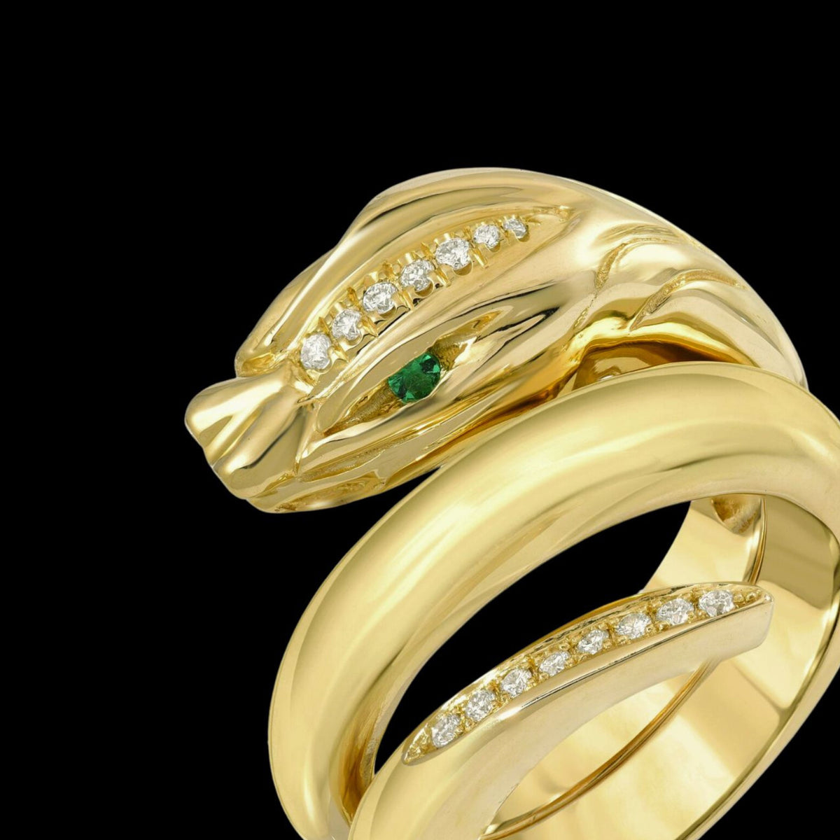 Coiled Serpentini