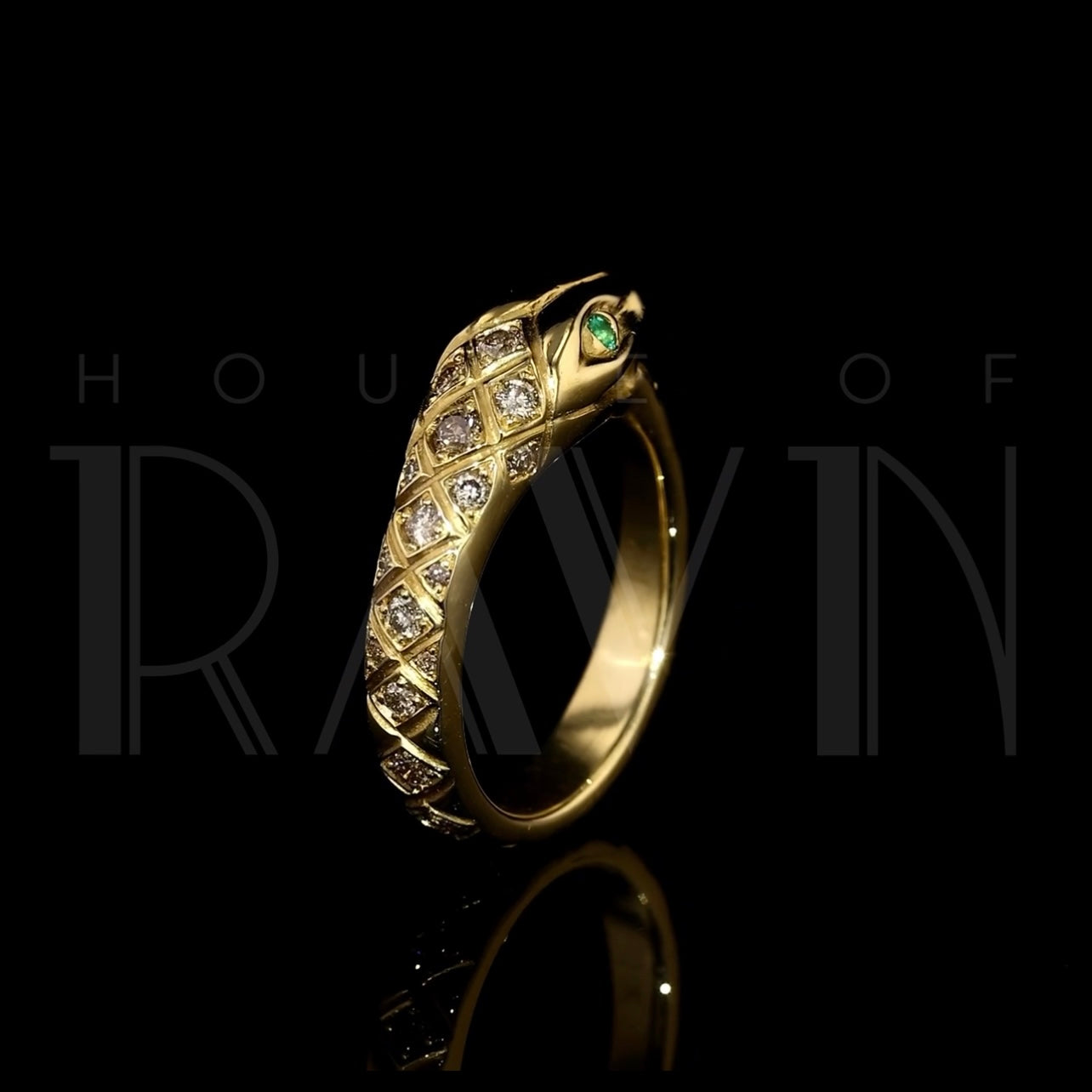 Ouroboros Ring