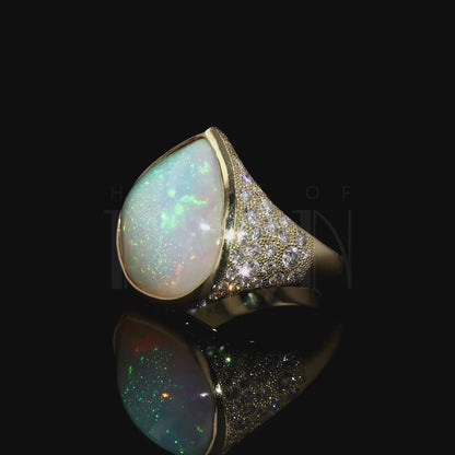 Oracle Opal